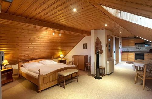 Hohegeiß Apartment | Haus PANORAMA - Appartement Auszeit 5
