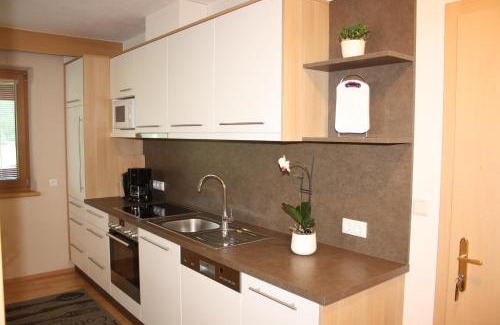 Laengenfeld Apartment | Haus Rene