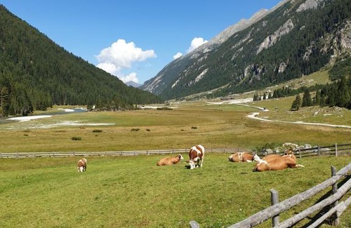 Hollersbach im Pinzgau House | Haus Renswouw