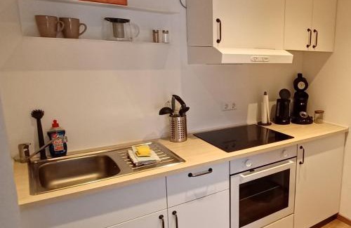 Schluchsee Apartment | Haus Ribeiro