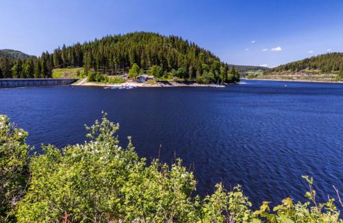 Schluchsee Apartment | Haus Schluchseeblick