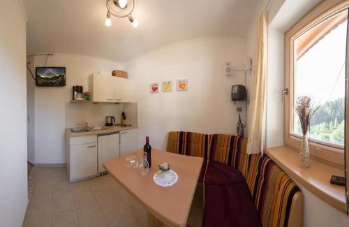 Stummerberg Apartment | Haus Schwarzenberg