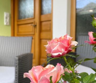 Seeboden Apartment | Haus Seerose
