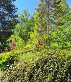 Bad Grund Apartment | Haus Westharz Goslar