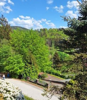 Bad Grund Apartment | Haus Westharz Goslar