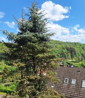Bad Grund Apartment | Haus Westharz Goslar