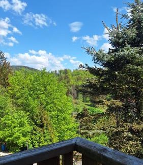 Bad Grund Apartment | Haus Westharz Goslar