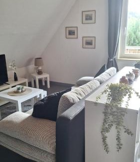 Bad Grund Apartment | Haus Westharz Hahnenklee