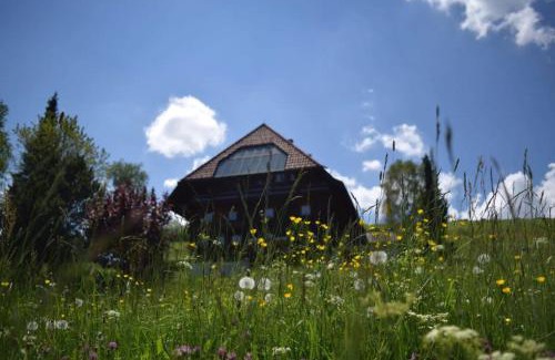 Schonach im Schwarzwald Apartment | Haus Winterberg
