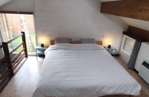Blaimont House | Havane13