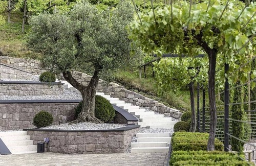 Merano Apartment | Have you always dreamed of living in a winery?