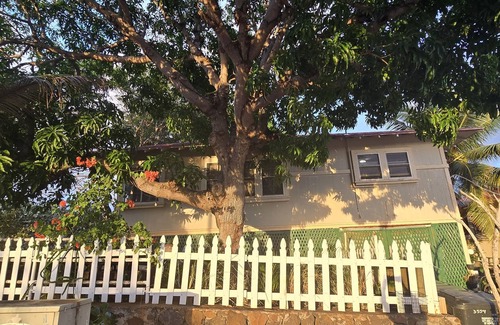 Diamond Head - Kapahulu - St. Louis Cottage | Hawaiian Historic Cottage near Diamond Head and Monserrat