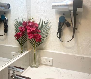Waikiki Apartment | Hawaiian monarch cozy studio