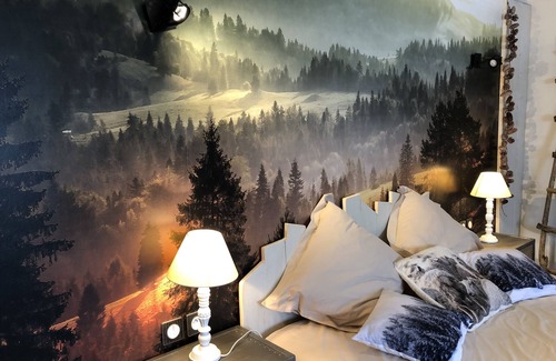 Saulxures-sur-Moselotte Bed & Breakfast | Head in the stars - Charming guest room (2 people)