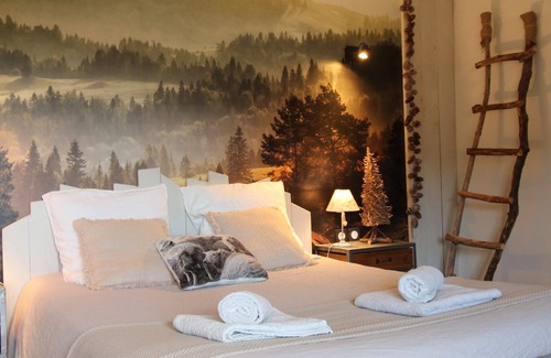 Saulxures-sur-Moselotte Bed & Breakfast | Head in the stars - Charming guest room (2 people)