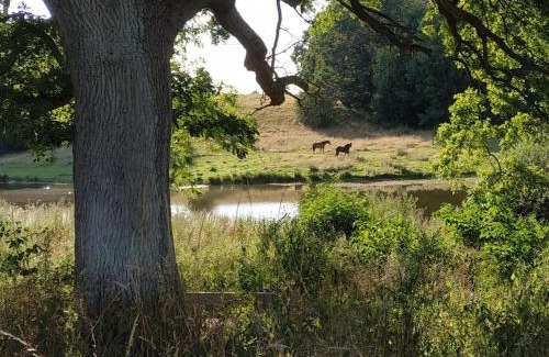 Rudersdal Kommune House | Healthy spot in nature near Copenhagen