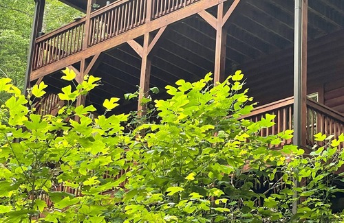 Helen Cabin | Helen GA Cabin with Hot Tub & Babbling Brook, Near Downtown-Alpenhaus Cabins