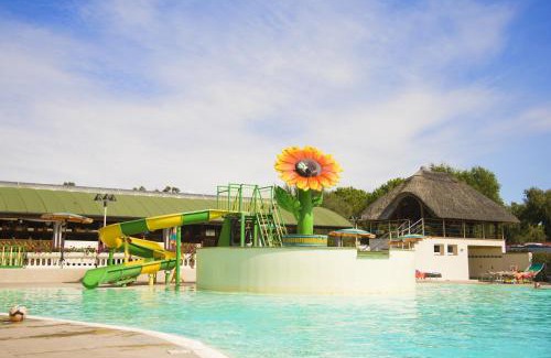 Marina di Bibbona Other | Helloocamp