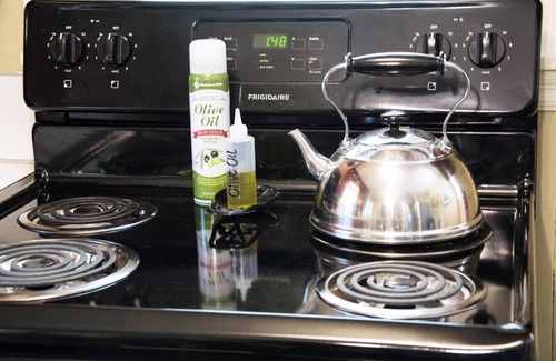 Henderson Cottage | Henderson, TN Cottage Farmstay E-I-E-I-Oh, MY!