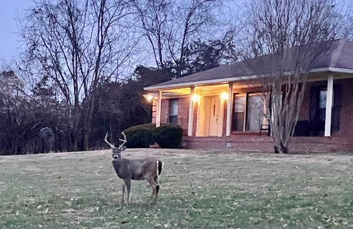 Hendersonville House | Hendersonville, TN, The Peaceful Retreat,Ping Pong & Pool Tables