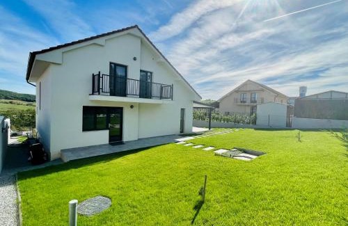 Baile Felix Villa | Hermes Guest House