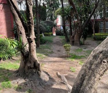 Coyoacan Apartment | Hermoso Descanso en Coyoacán