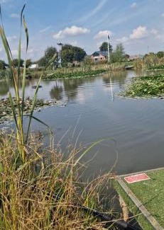 Kirkmichael Resort | Herons Mead Touring Park and Fishing Lakes - Plot 18