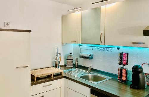 Neustadt-Hambach House | Herrscherrshaus-W237