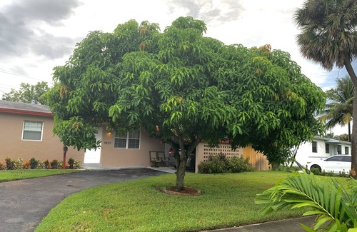 Lauderdale Lakes House | HIDDEN GEM! 5BR/3B family-friendly and laundry
