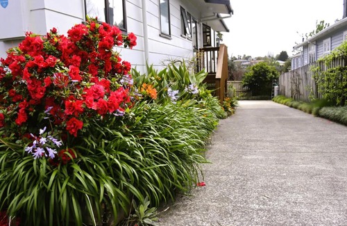 Tauranga Apartment | Hidden Gem for business traveller's