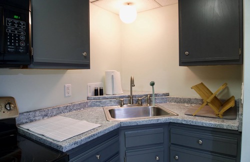 Candler Apartment | Hidden Gem w/Full kitchen, fast wifi, workspace and firepit