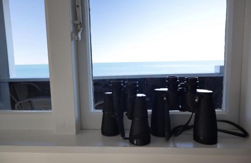 Kaikoura House | Hidden Gem Whale & Dolphin Spotting Epic Location