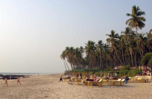 Ashvem Apartment | Hidden Haven, Eden in India ! Quietest stay in Goa