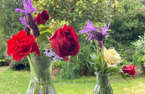 Moeraki Bed & Breakfast | Hidden Haven