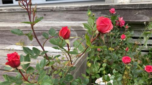 Moeraki Bed & Breakfast | Hidden Haven