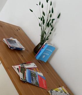 Innere Stadt Apartment | High in Vienna at Stephansplatz
