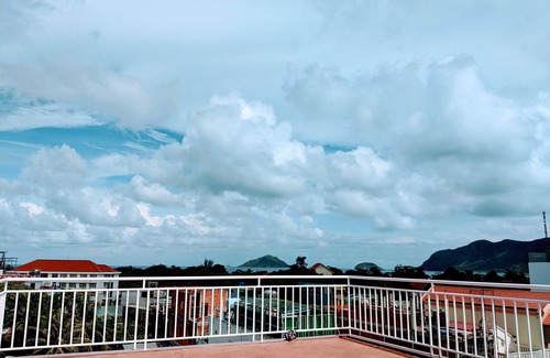 Con Son House | High Quality with Reasonable Price