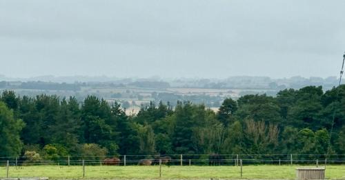 Riding Mill House | High Shilford Barn