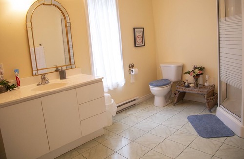 Val-des-Monts Ski Chalet | High speed internet cottage, lake, river, kayak, natural paradise!