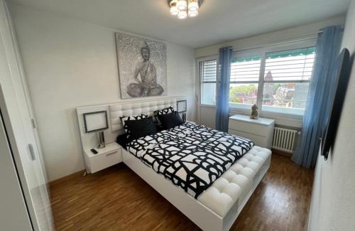 Lausanne Apartment | High standing apartment in Ouchy - Lausanne