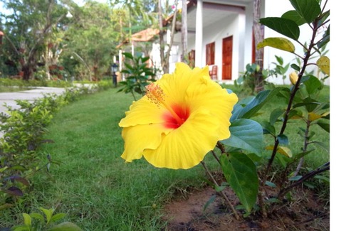 Duong Dong House | Highland Bungalow