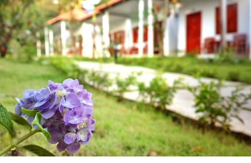 Duong Dong House | Highland Bungalow