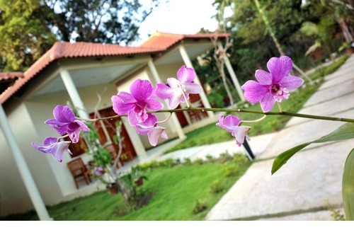 Duong Dong House | Highland Bungalow