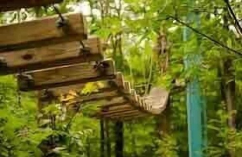 Ellicottville Ski Chalet | Hill Haus Ellicottville Chalet and Barrel Sauna!