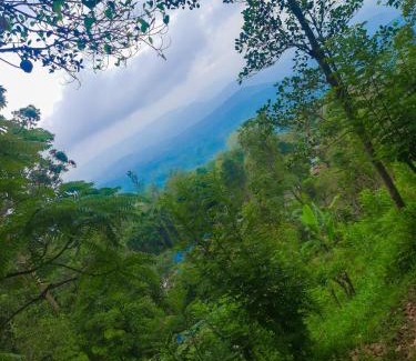 Hildummulla Hotel | Hill House Haldummulla