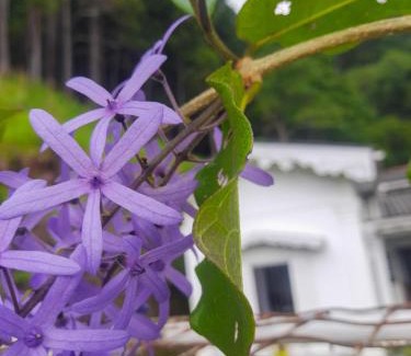 Hildummulla Hotel | Hill House Haldummulla
