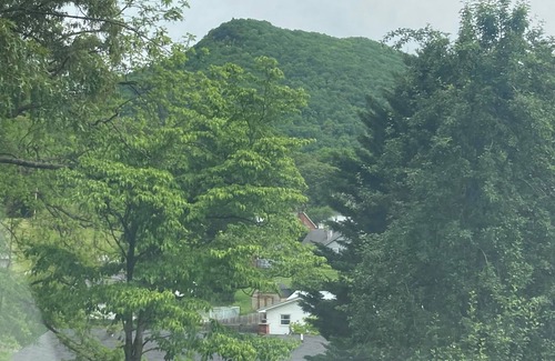 Weber City House | Hillside Hideaway