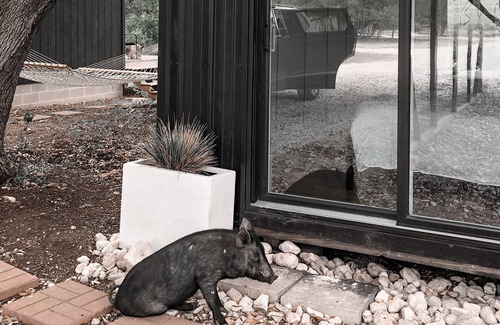 Uvalde Other | Hilltop Artist Cabin