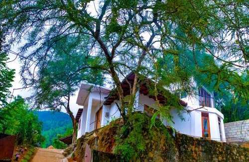 Tennekumbura Apartment | Hilltop Heaven