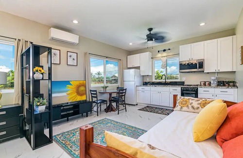 Hilo House | Hilo Town Center Studio